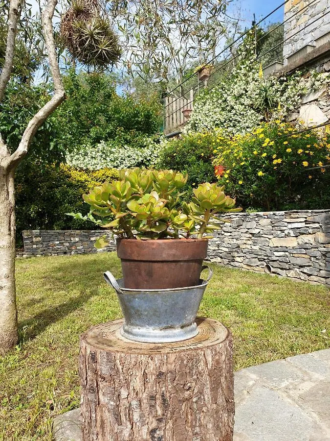Villa Collina E Mare Camogli Ferienhaus
