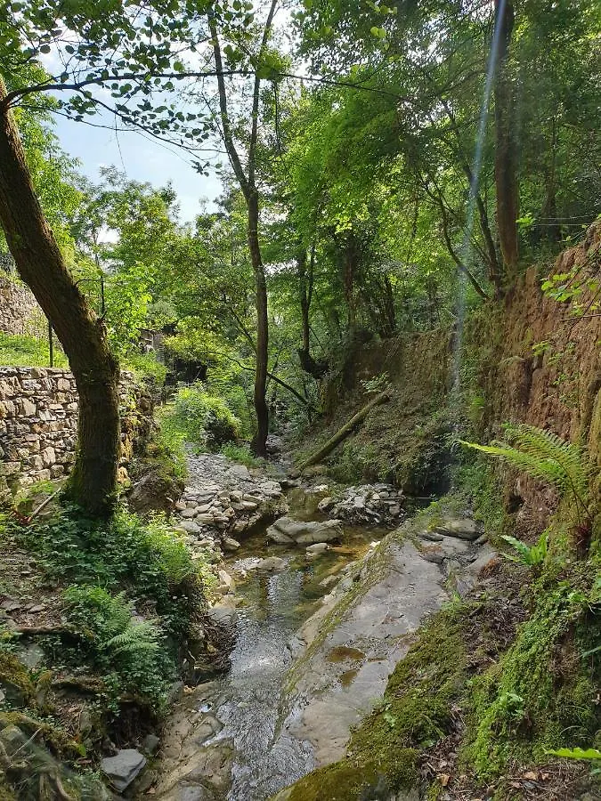 Villa Collina E Mare Camogli