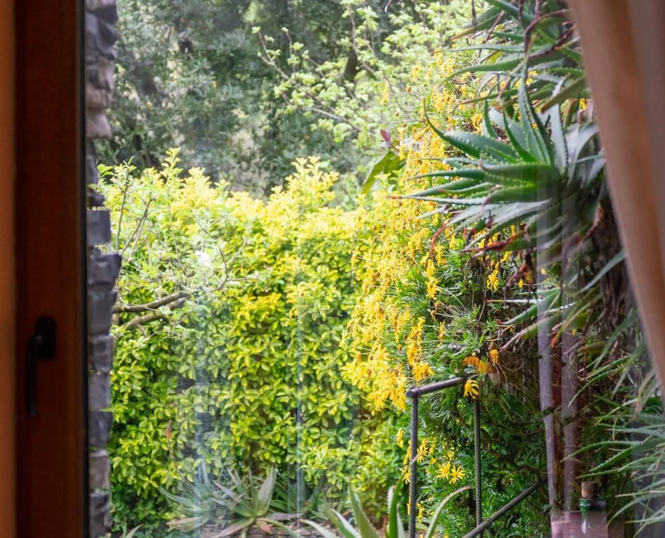 Villa Collina E Mare Camogli Ferienhaus